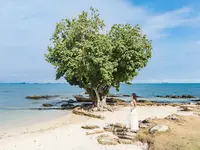 Piaszczysta plaża z drzewem w Sai Kaew