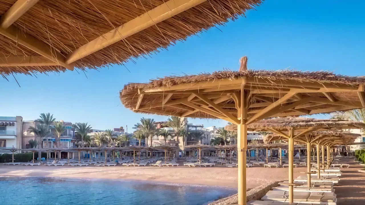 Leżaki pod parasolami na plaży Sea Gull Beach Resort