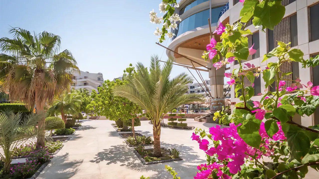 Widok na teren hotelu Sea Gull Beach Resort