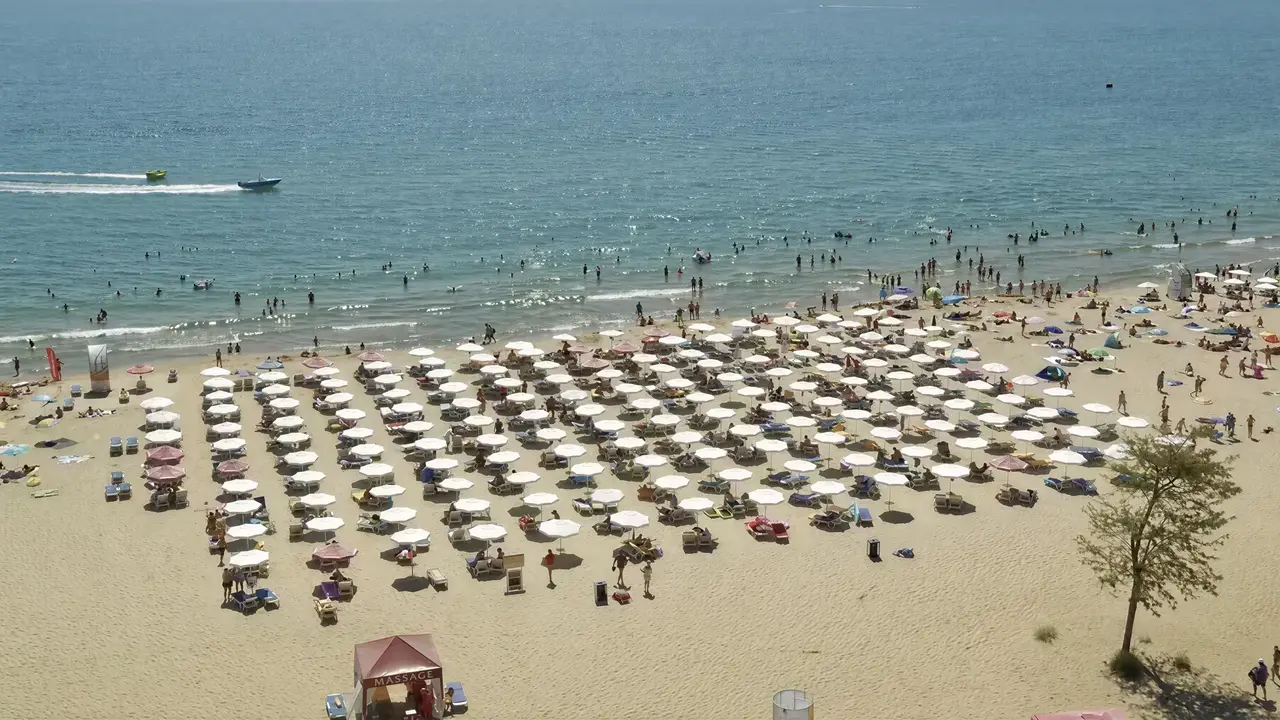 Plaża z parasolami i leżakami w Sentido Bellevue Beach 
