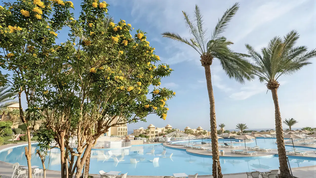 Basen z leżakami w hotelu Serenity Alpha Beach