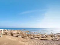 Plaża z leżakami i parasolami w Serenity Alpha Beach