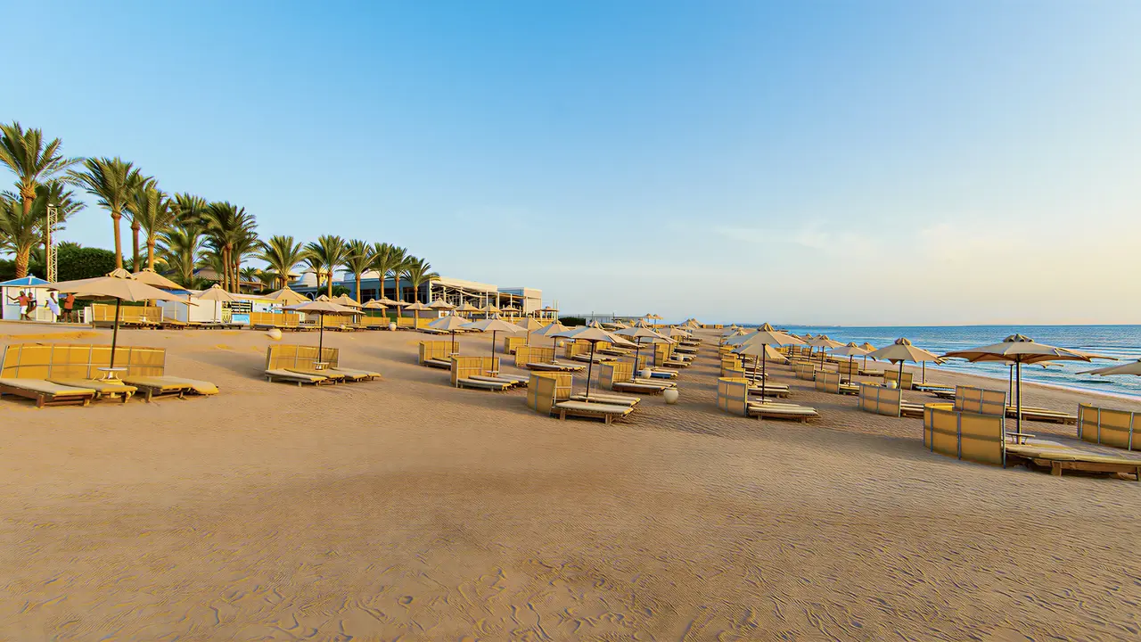 Plaża z leżakami i parasolami w Serenity Alpha Beach