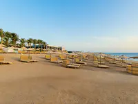Plaża z leżakami i parasolami w Serenity Alpha Beach