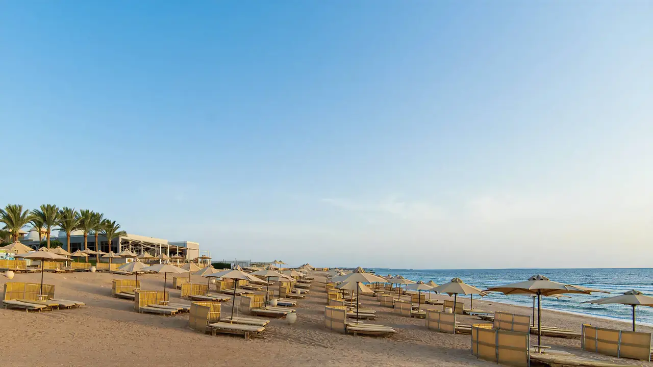 Plaża z leżakami i parasolami w Serenity Alpha Beach