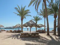 Plaża z leżakami i parasolami w Sindbad Club