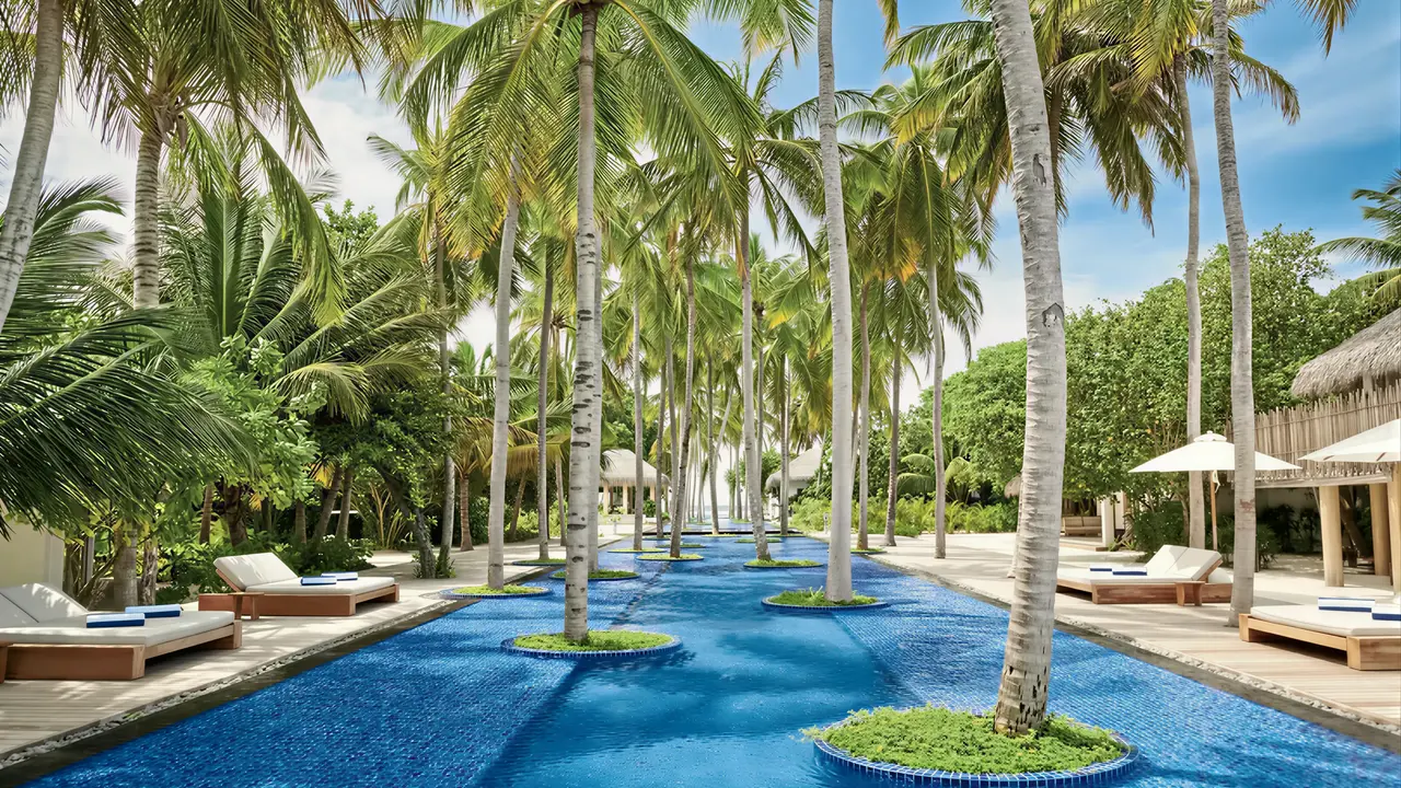 Długi basen z palmami w Sirru Fen Fushi Private Lagoon Resort