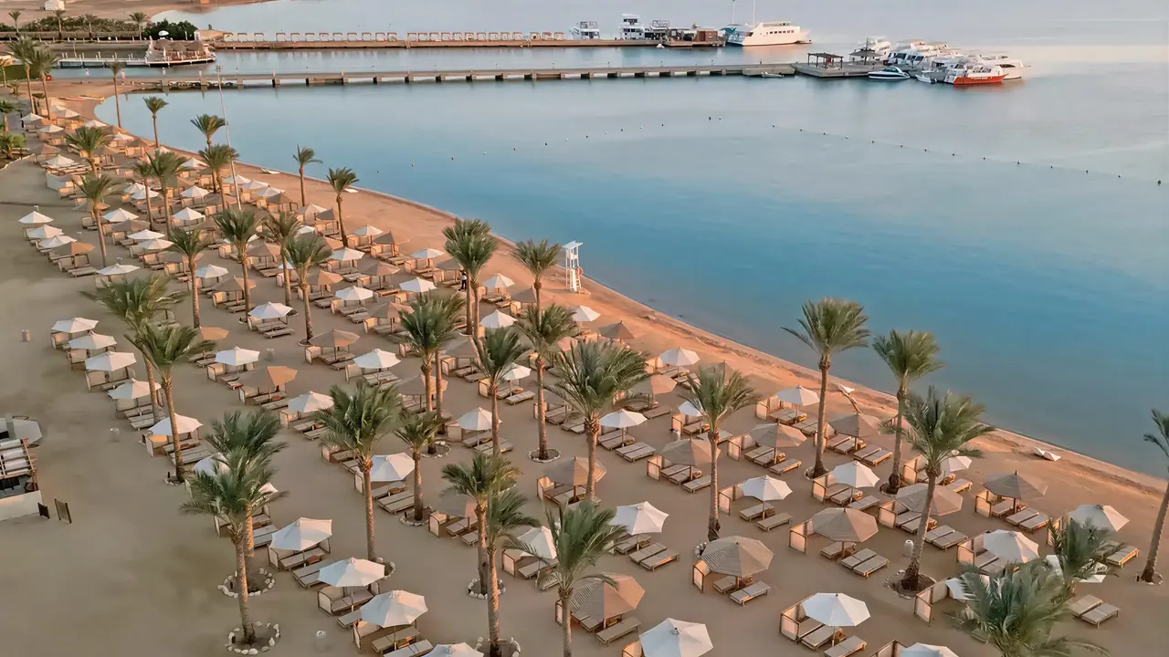 Plaża z leżakami i parasolami w Steigenberger Al Dau Beach