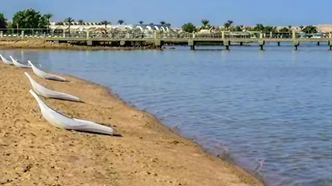 Łodzie na piaszczystej plaży w Steigenberger Al Dau Beach