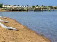 Łodzie na piaszczystej plaży w Steigenberger Al Dau Beach
