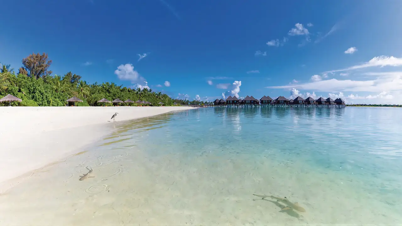 Biała plaża i turkusowa woda w Sun Siyam Olhuveli
