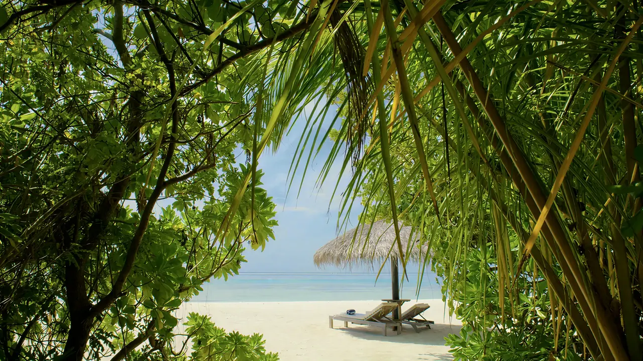 Piaszczysta plaża z leżakami w Sun Siyam Olhuveli