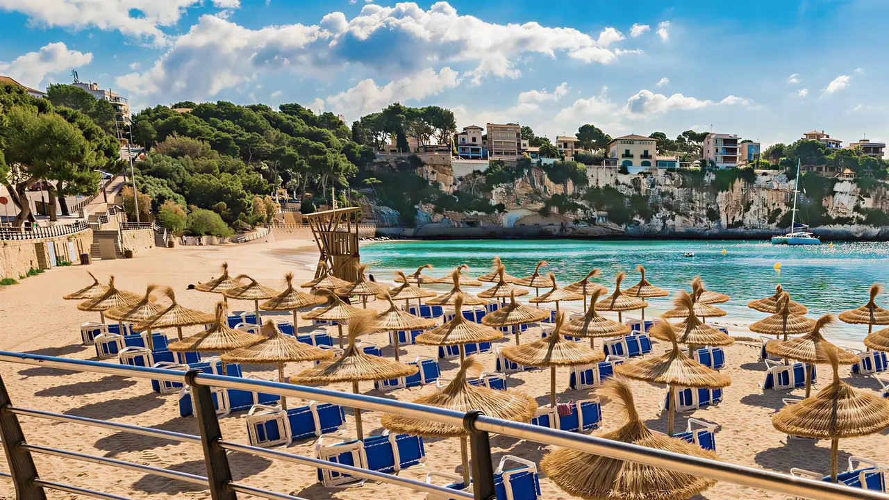 Plaża z parasolami i leżakami w THB Felip