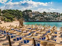 Plaża z parasolami i leżakami w THB Felip