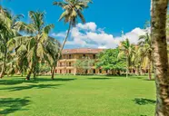 Budynek i trawnik w The Palms