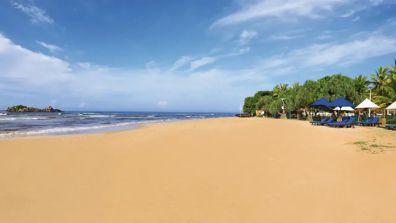 Piaszczysta plaża z leżakami w The Palms
