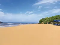 Piaszczysta plaża z leżakami w The Palms