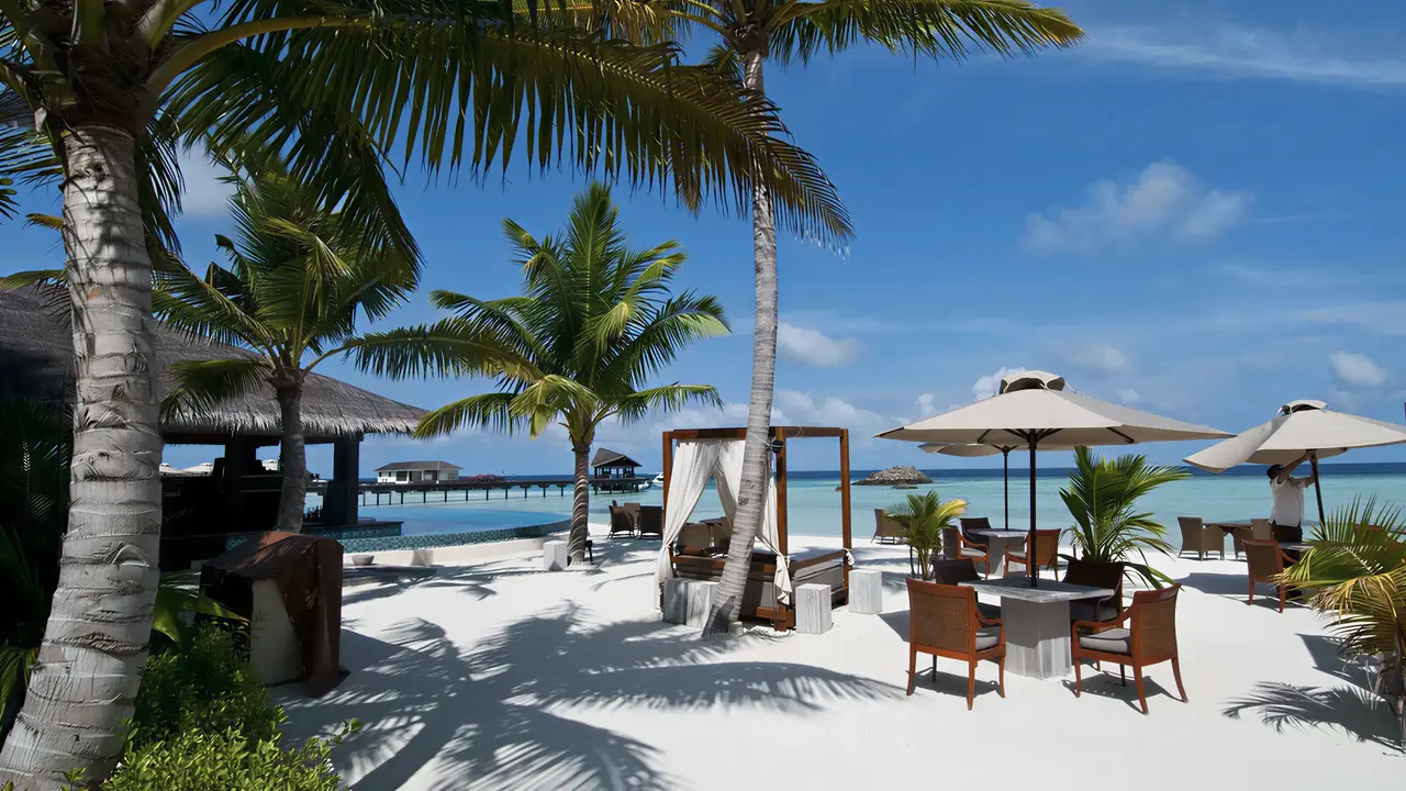Plaża z palmami i leżakami w The Residence Maldives