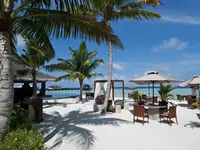 Plaża z palmami i leżakami w The Residence Maldives