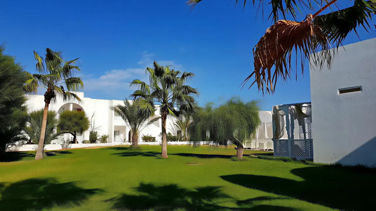 Zielony trawnik z palmami w TMK Marine Beach