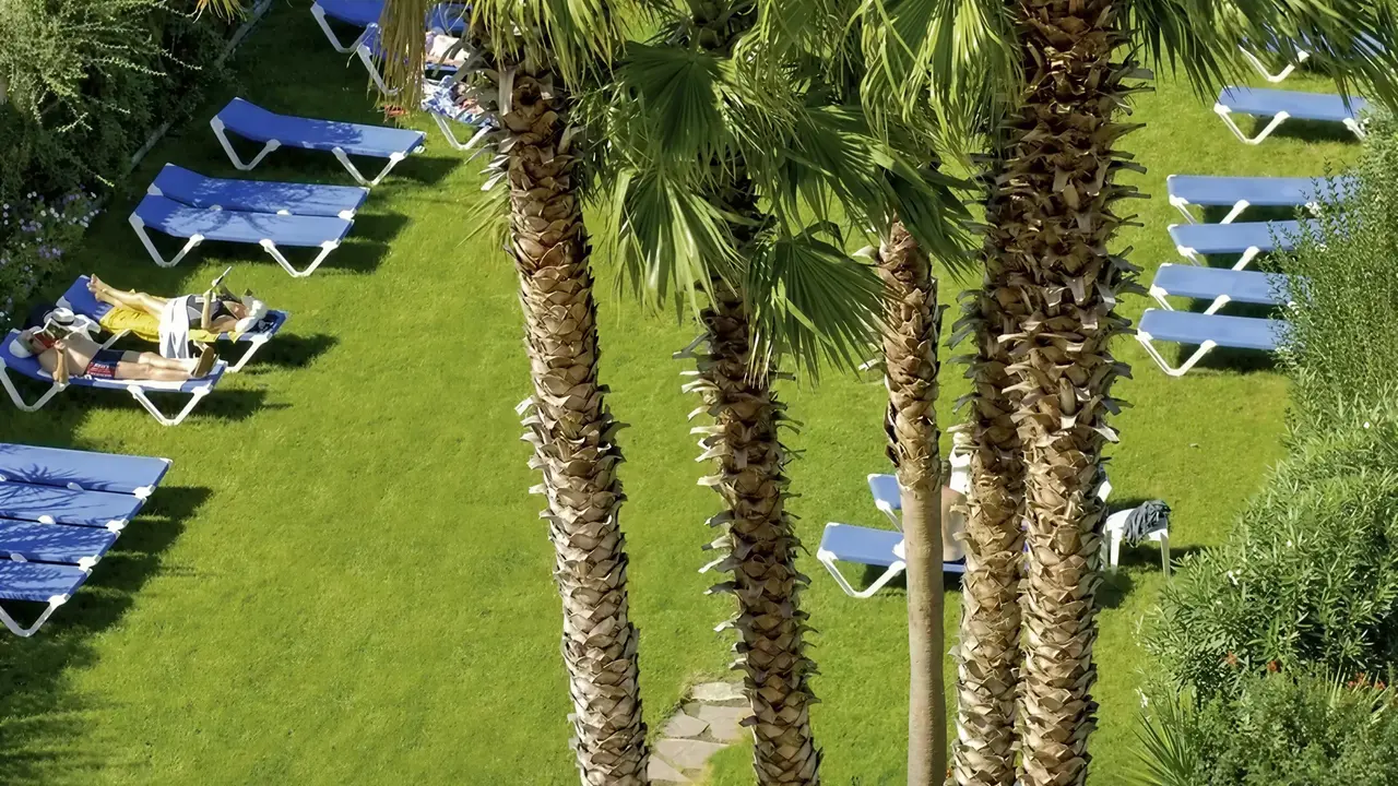 Trawnik z leżakami i palmami w Tropic Park