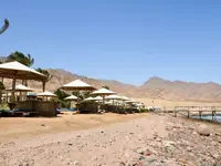 Plaża z parasolami w Tropitel Dahab Oasis