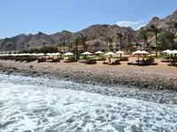 Plaża z parasolami i leżakami w Tropitel Dahab Oasis