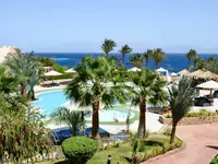Widok na kompleks Tropitel Dahab Oasis z basenami i palmami