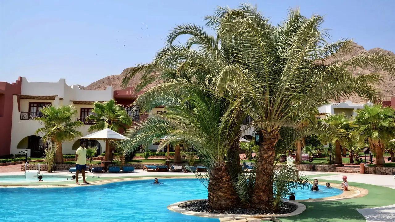 Basen z palmami w hotelu Tropitel Dahab Oasis
