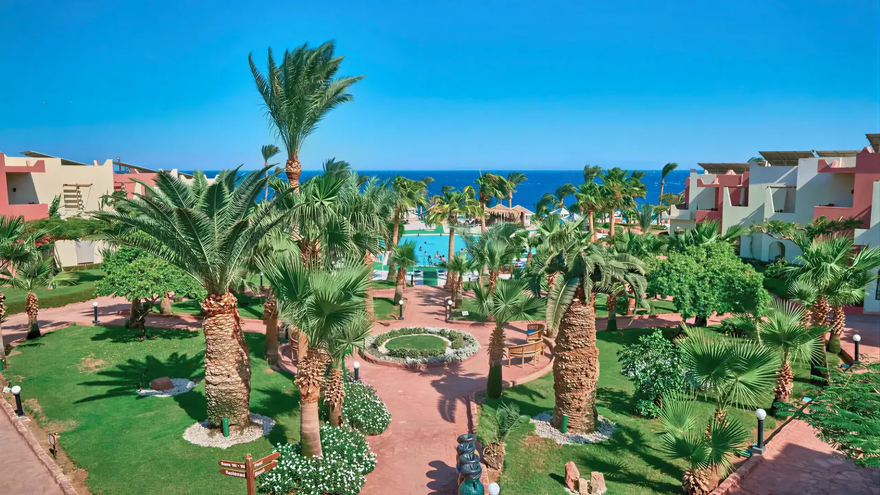 Widok na kompleks Tropitel Dahab Oasis z palmami i basenem