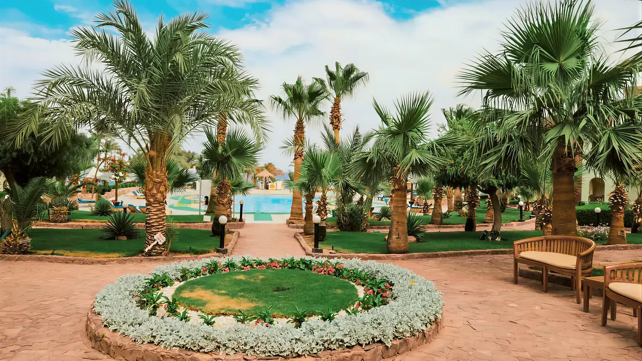 Ogród z palmami w Tropitel Dahab Oasis