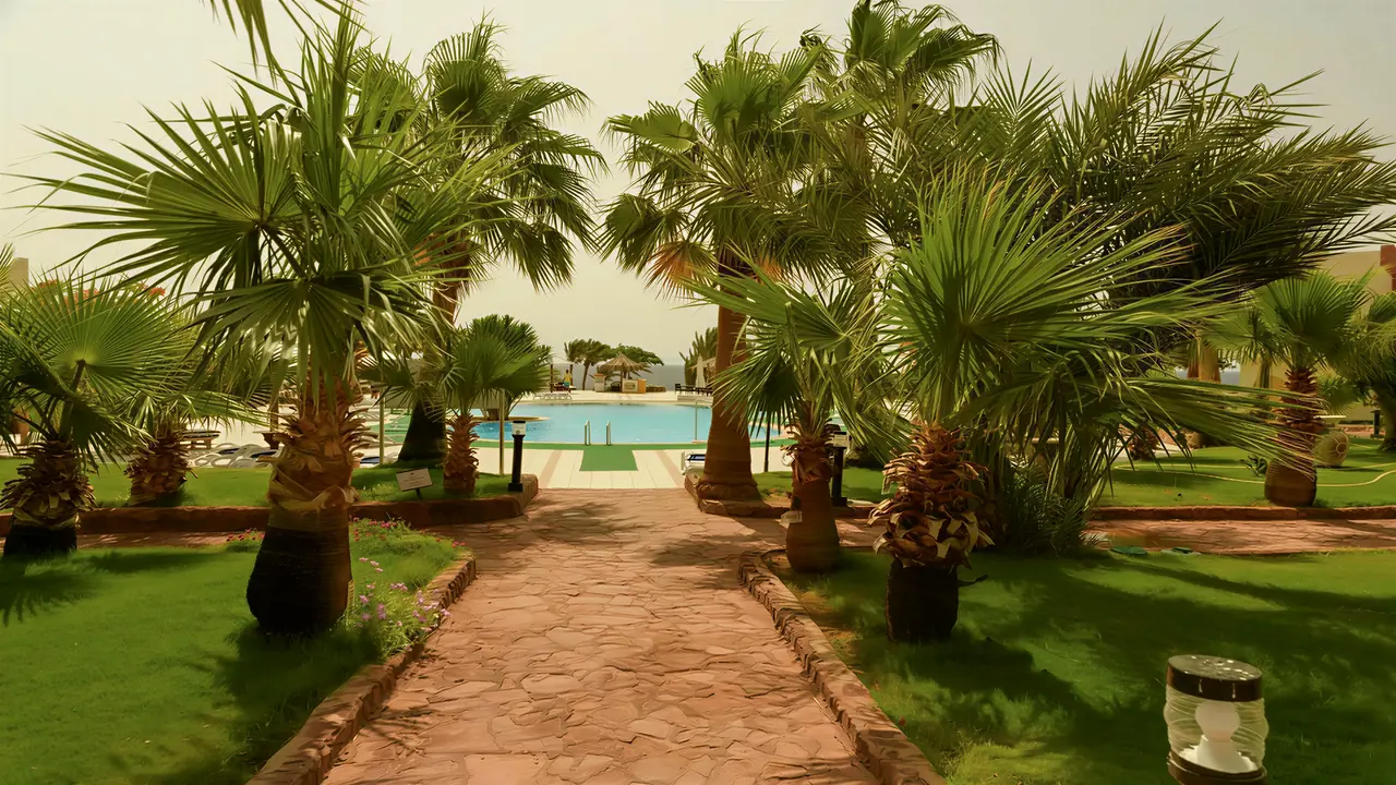 Widok na basen i palmy w Tropitel Dahab Oasis