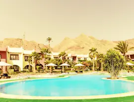 Basen z leżakami w hotelu Tropitel Dahab Oasis