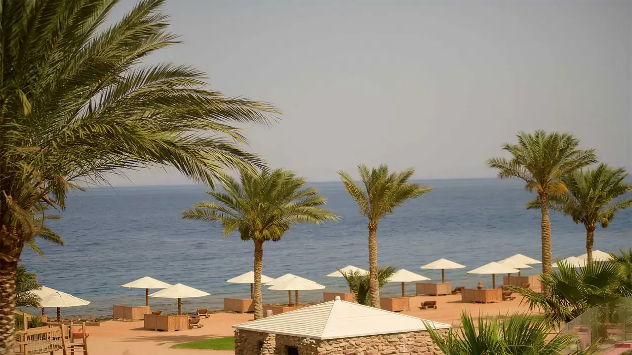 Plaża z parasolami i palmami w Tropitel Dahab Oasis
