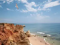 Widok na plażę i klify w Turim Presidente