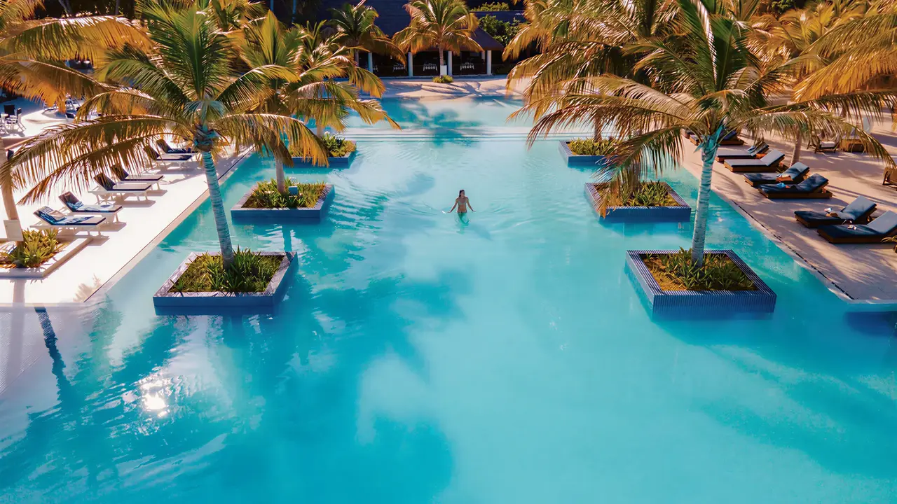 Basen z leżakami i palmami w Villa Nautica