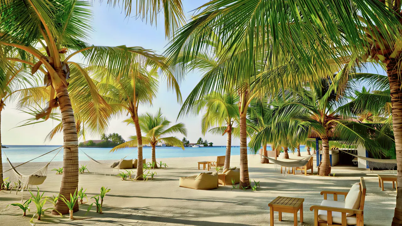 Plaża z palmami i hamakami w Villa Nautica