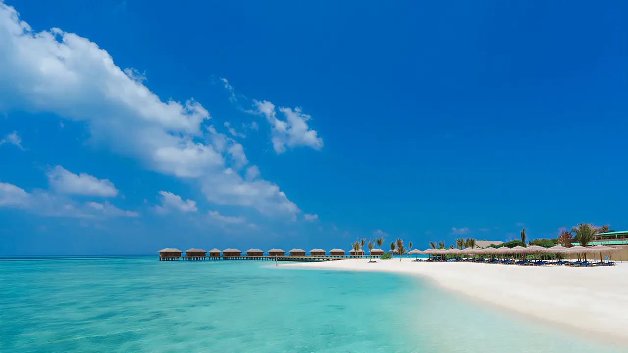 Piaszczysta plaża i woda w You & Me by Cocoon Maldives