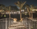 Desert Rose Resort