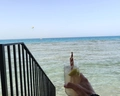 Desert Rose Resort