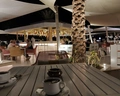 Desert Rose Resort