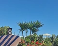Rewaya Inn Resort