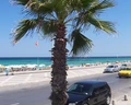El Hana Beach