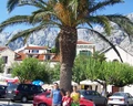 Sunny Makarska by Valamar