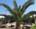 Island View Resort