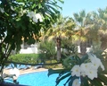 LD Palm Beach