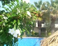 LD Palm Beach