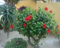 Playasol SPA