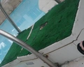 Tropicana New Tiran