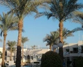 Tropicana New Tiran